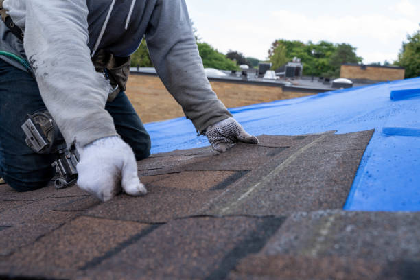 Best Residential Roofing Contractor  in Toast, NC