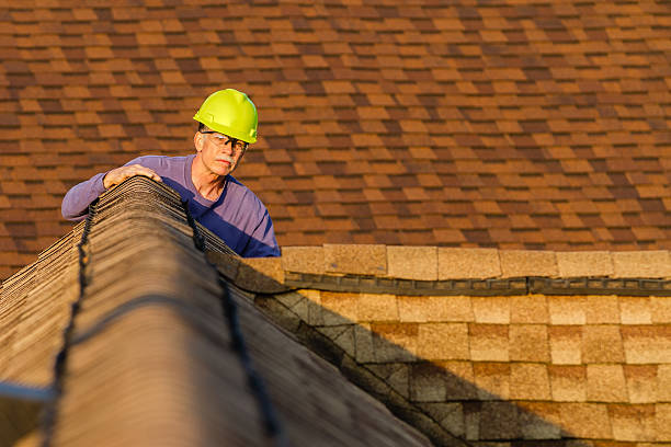 Best Roof Gutter Cleaning  in Toast, NC